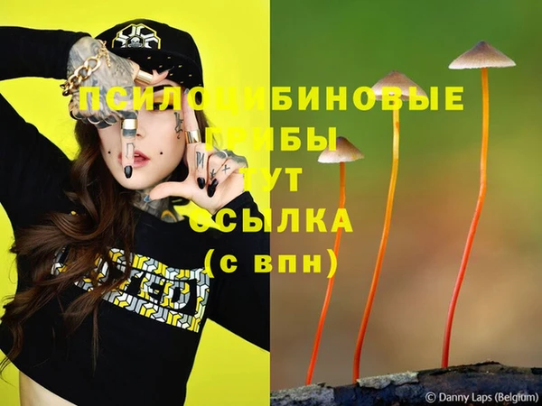 дмт Аркадак