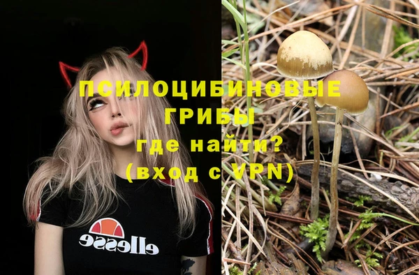 прущий лед Арсеньев