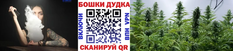 Бошки марихуана план  Сосновка 